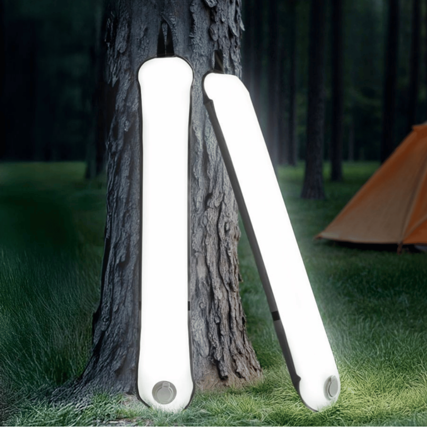 Multi-Purpose LED Lighting