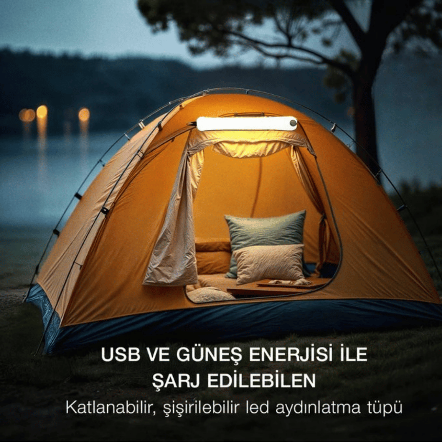 Multi-Purpose LED Lighting